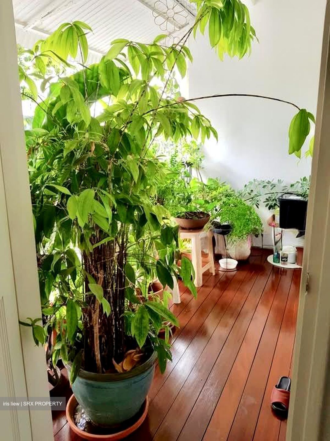 Binjai Park (D21), Apartment #561087041